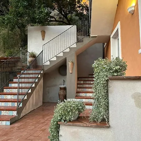 Le Maioliche